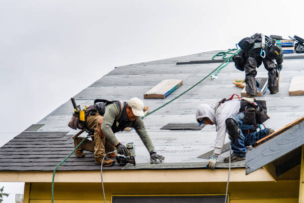 Professional Storm Damage Roof Repair technician working in Genoa, OH